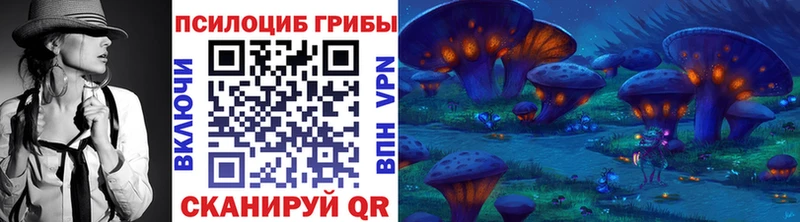 Псилоцибиновые грибы Psilocybe  как найти   Малгобек 